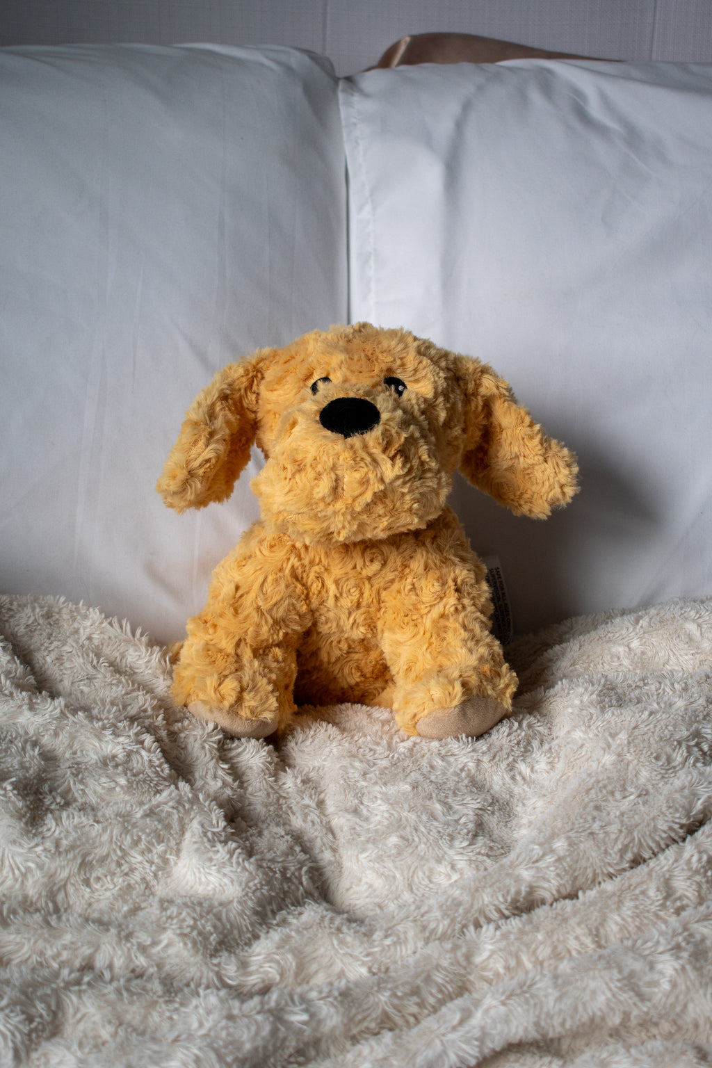 Warming Stuffed Animals