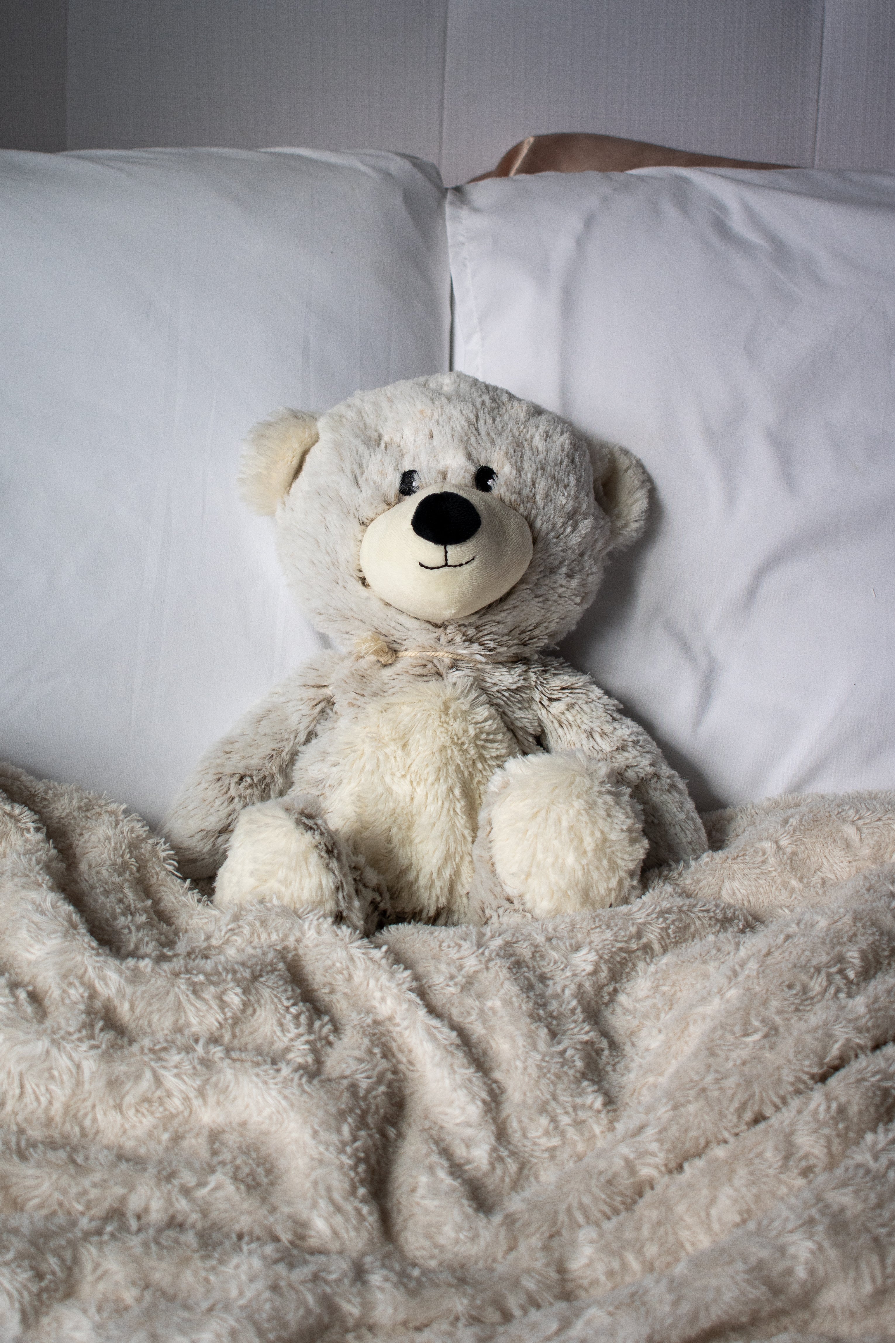 Warming Stuffed Animals