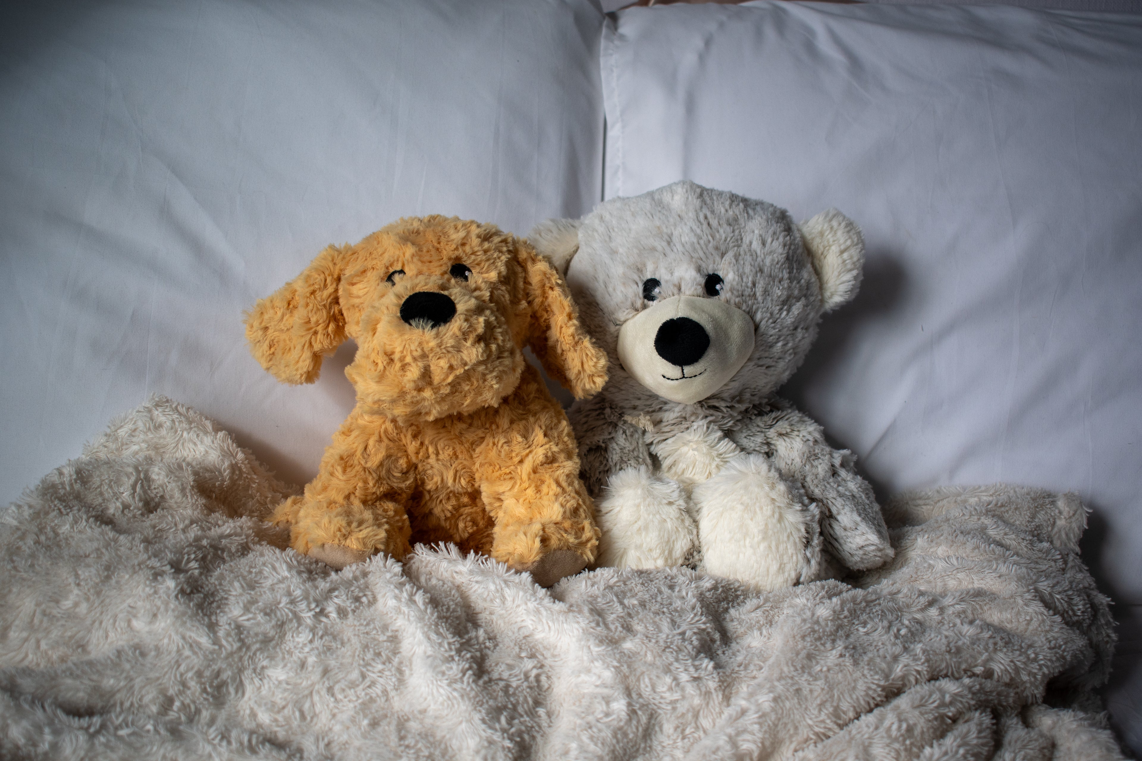 Warming Stuffed Animals