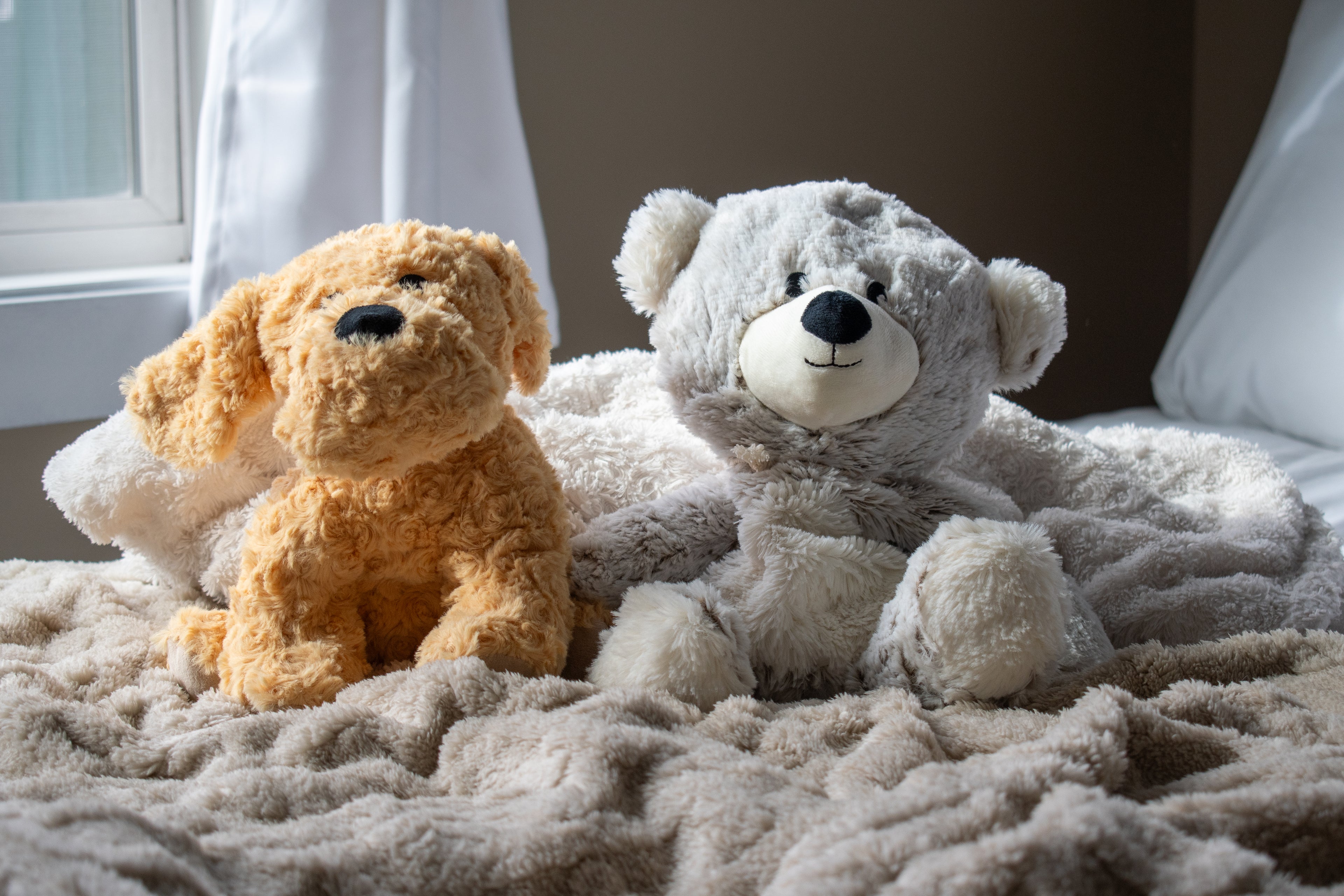 Warming Stuffed Animals